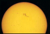 Sun Spots Sun Spots