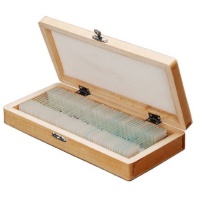 Zenith Microscope Slide Sets